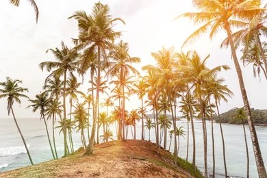 Coastal view